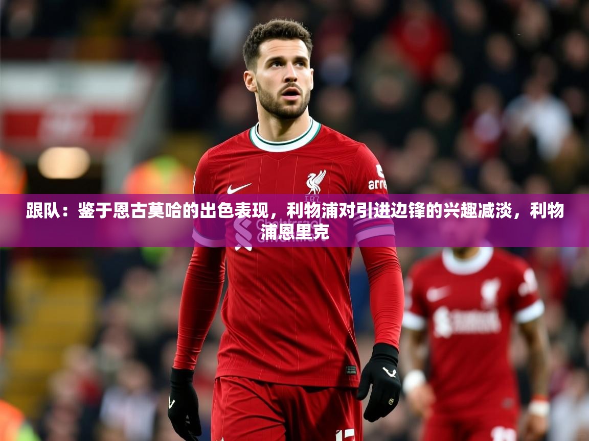 2025九游娱乐app赔率高跟队：鉴于恩古莫哈的出色表现，利物浦对引进边锋的兴趣减淡，利物浦恩里克
